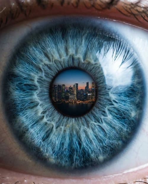 City Eye Macro
