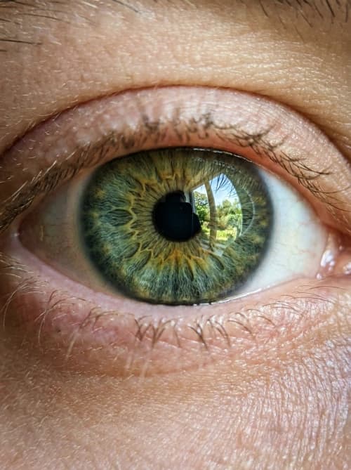 Green Eye Macro Close-Up